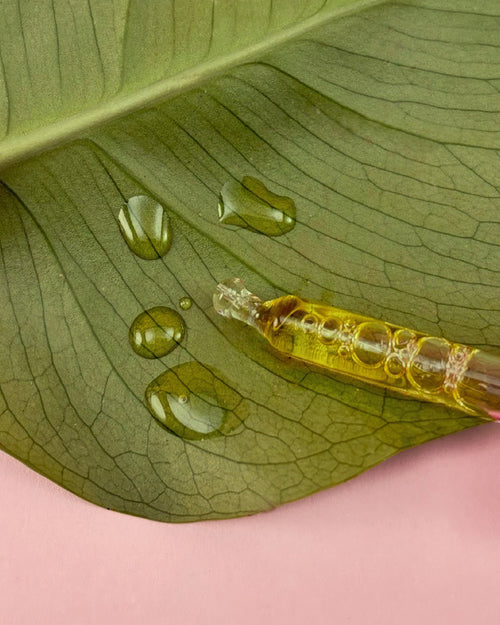 Deutsches CBD-Öl 10%