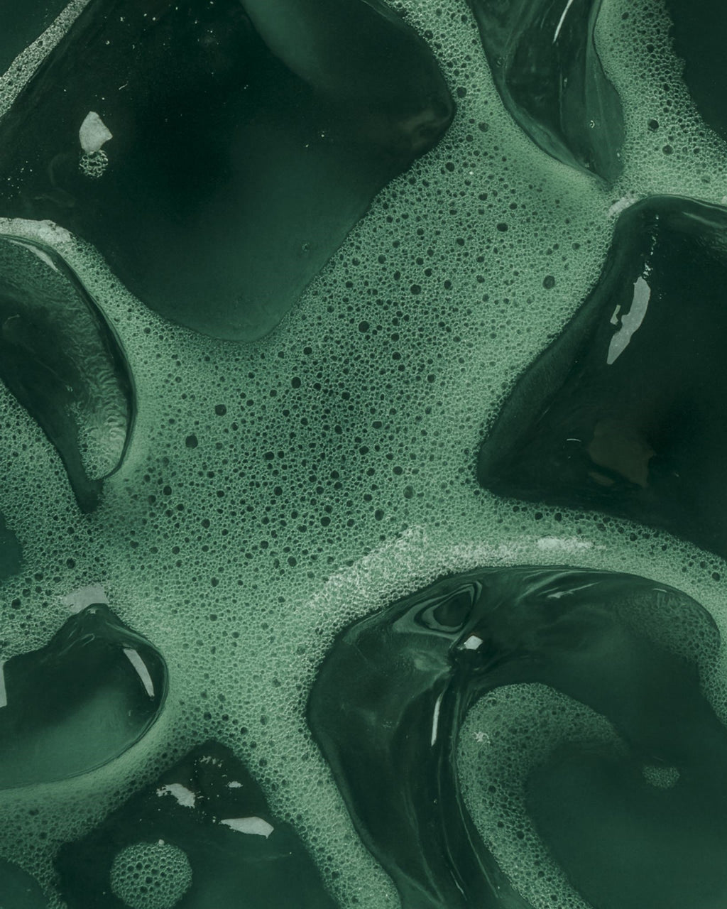 Deutsche Bio-Spirulina