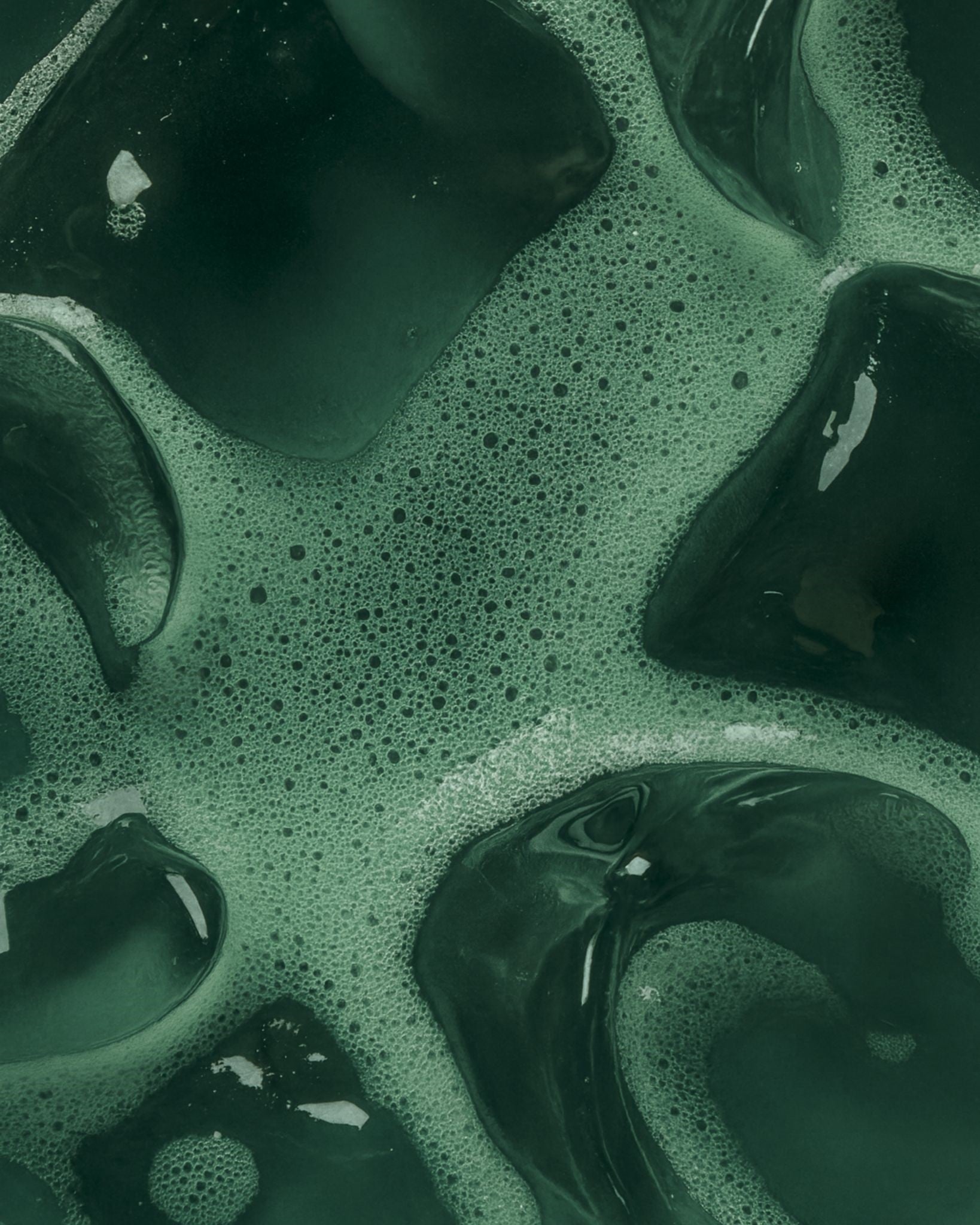 Deutsche Bio-Spirulina