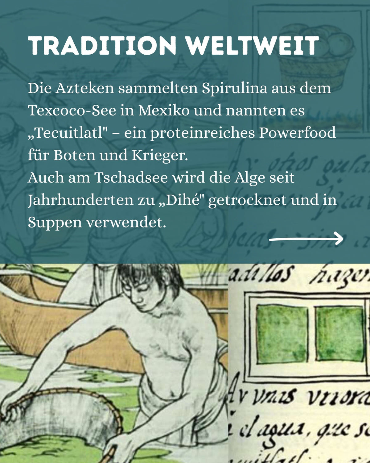 Deutsche Bio-Spirulina