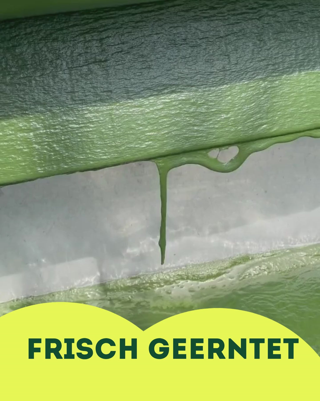 Deutsche Bio-Spirulina